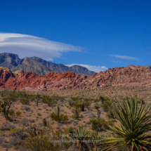 Red-Rock-Canyon_004