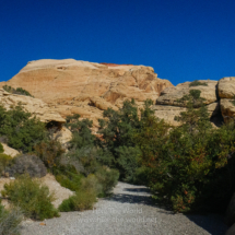 Red-Rock-Canyon_011