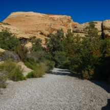 Red-Rock-Canyon_013