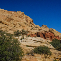 Red-Rock-Canyon_015