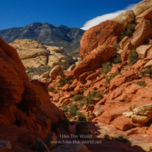 Red-Rock-Canyon_016