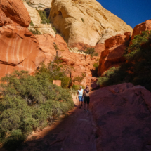 Red-Rock-Canyon_020