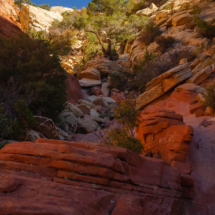 Red-Rock-Canyon_025