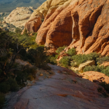 Red-Rock-Canyon_028