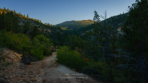 Zion_East-Rim-Trail_016