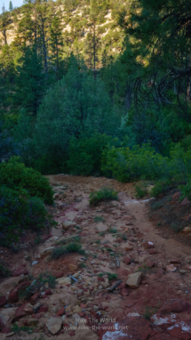 Zion_East-Rim-Trail_034