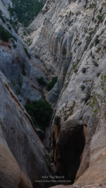 Zion_East-Rim-Trail_038