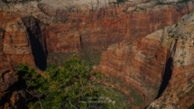 Zion_Cable-Mountain_005