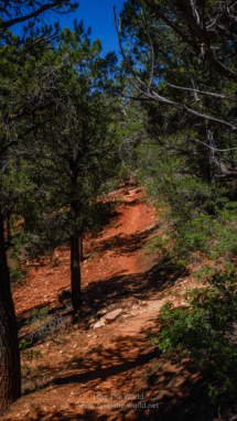 Zion_East-Rim-Trail_066