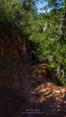 Zion_East-Rim-Trail_075