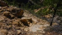 Zion_East-Rim-Trail_082