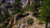 Zion_East-Rim-Trail_083