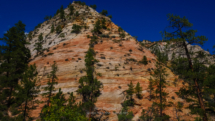 Zion_East-Rim-Trail_087