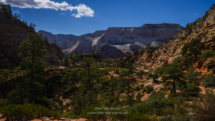 Zion_East-Rim-Trail_092