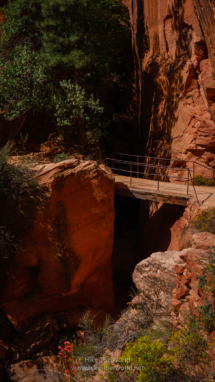 Zion_East-Rim-Trail_094