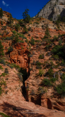 Zion_East-Rim-Trail_096