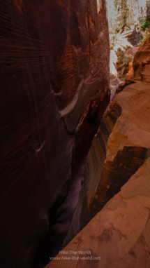 Zion_East-Rim-Trail_099