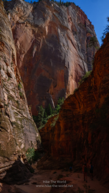 Zion_East-Rim-Trail_100