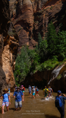 20180918_Zion_Narrows_009