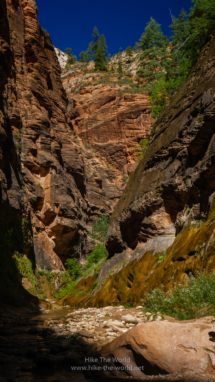 20180918_Zion_Narrows_035