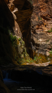 20180918_Zion_Narrows_037