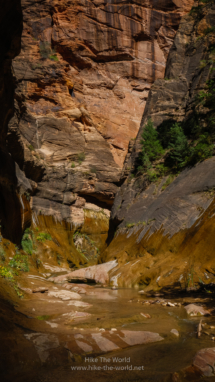 20180918_Zion_Narrows_039