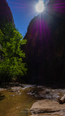 20180918_Zion_Narrows_043