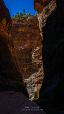 20180918_Zion_Narrows_049