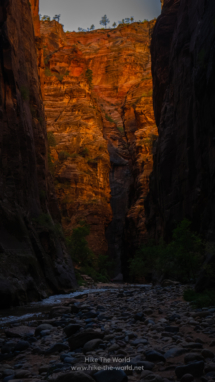 20180918_Zion_Narrows_054