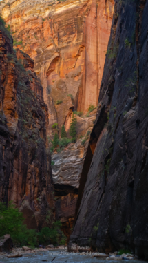 20180918_Zion_Narrows_064