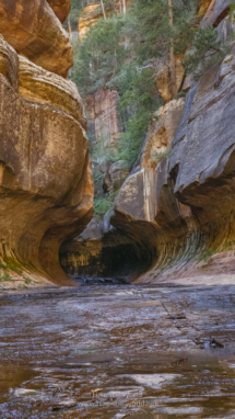 20180919_Zion_Subway_059