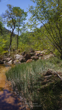 20180919_Zion_Subway_079