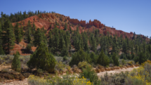 20180920_Red-Canyon_002