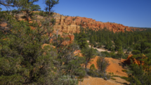 20180920_Red-Canyon_005