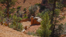20180920_Red-Canyon_008