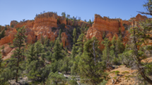 20180920_Red-Canyon_013