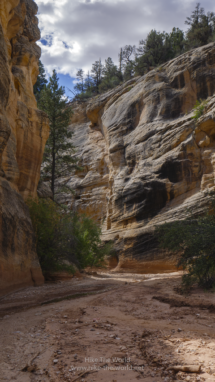 20180922_GSENM_Willis-Creek_016