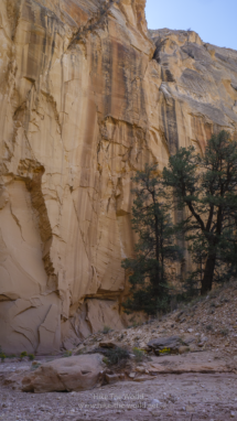 20180922_GSENM_Willis-Creek_018