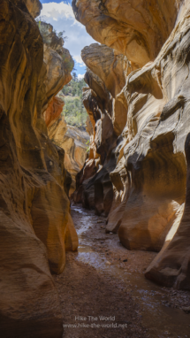 20180922_GSENM_Willis-Creek_022